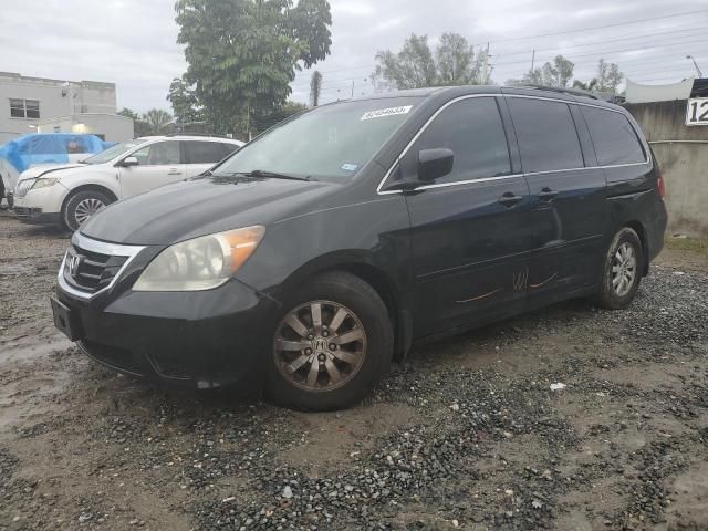 2010 Honda Odyssey EXL