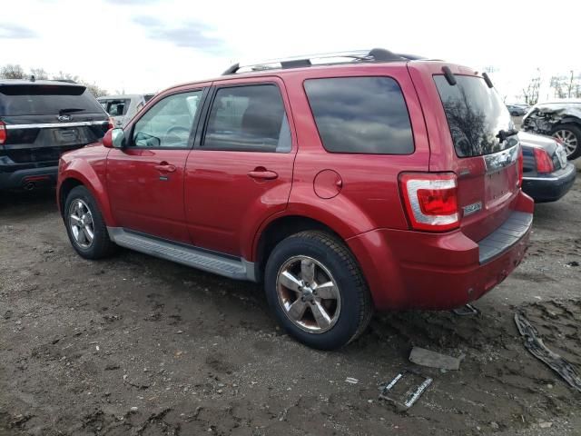 2009 Ford Escape Limited