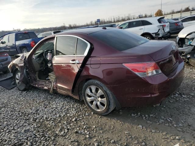 2009 Honda Accord EXL