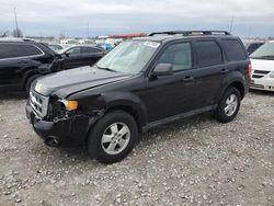 Ford salvage cars for sale: 2010 Ford Escape XLT