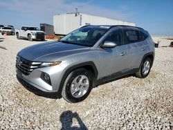 Salvage cars for sale from Copart New Braunfels, TX: 2024 Hyundai Tucson SEL