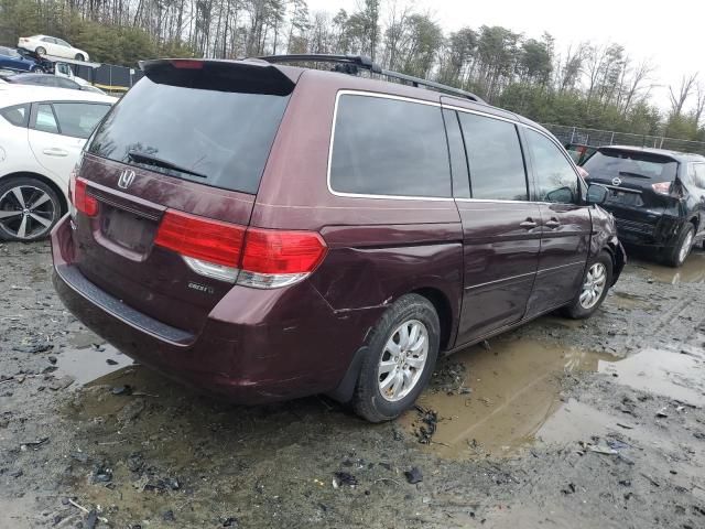 2008 Honda Odyssey EXL