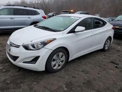 Salvage cars for sale at Marlboro, NY auction: 2016 Hyundai Elantra SE