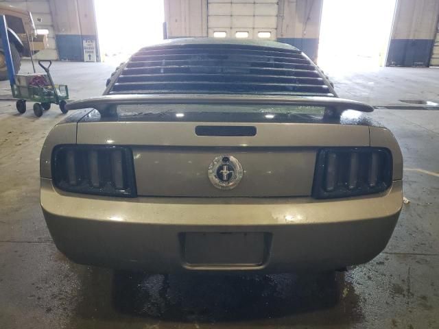 2005 Ford Mustang