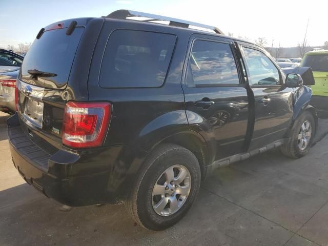 2010 Ford Escape Limited