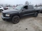 2011 Dodge Dakota SLT