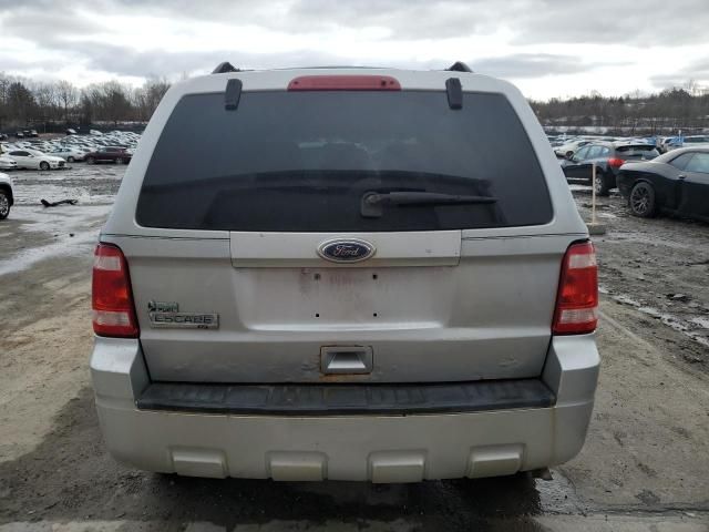 2010 Ford Escape XLT