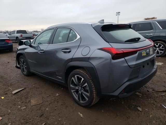 2019 Lexus UX 250H