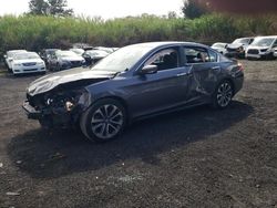 Salvage cars for sale at Kapolei, HI auction: 2014 Honda Accord Sport