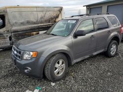 Salvage cars for sale from Copart Eugene, OR: 2010 Ford Escape XLT