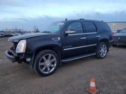 Salvage cars for sale from Copart Rocky View County, AB: 2009 Cadillac Escalade Luxury