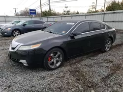 Salvage cars for sale from Copart Hillsborough, NJ: 2010 Acura TL