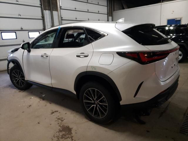 2024 Lexus NX 350 Base