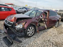 Honda salvage cars for sale: 2009 Honda Accord EXL