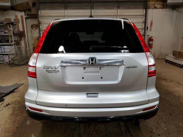 2010 Honda CR-V EXL