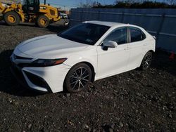 Toyota Camry SE salvage cars for sale: 2022 Toyota Camry SE