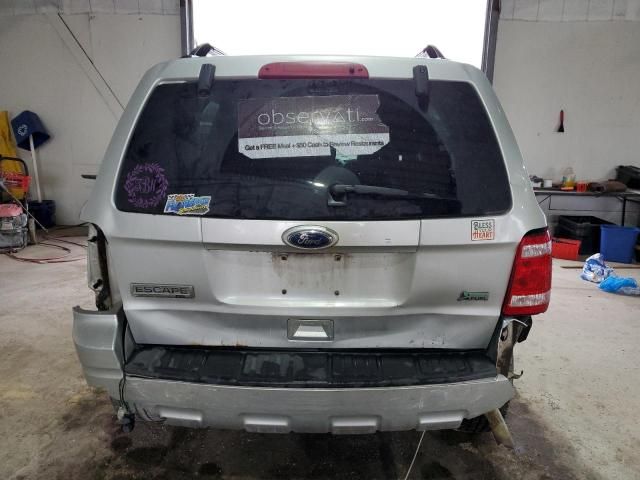 2010 Ford Escape XLT