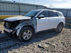 Salvage cars for sale from Copart Lawrenceburg, KY: 2023 KIA Sorento LX
