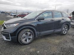 Salvage cars for sale from Copart Eugene, OR: 2020 Honda CR-V LX