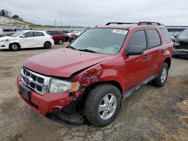 2010 Ford Escape XLT