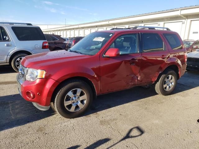 2012 Ford Escape Limited