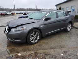 Salvage cars for sale at Louisville, KY auction: 2015 Ford Taurus SE