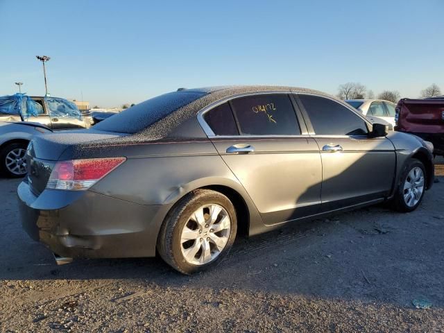 2009 Honda Accord EXL