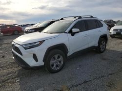 Salvage cars for sale at Earlington, KY auction: 2022 Toyota Rav4 XLE