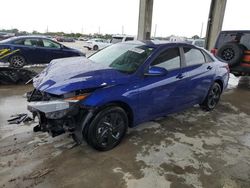 Salvage vehicles for parts for sale at auction: 2023 Hyundai Elantra Blue