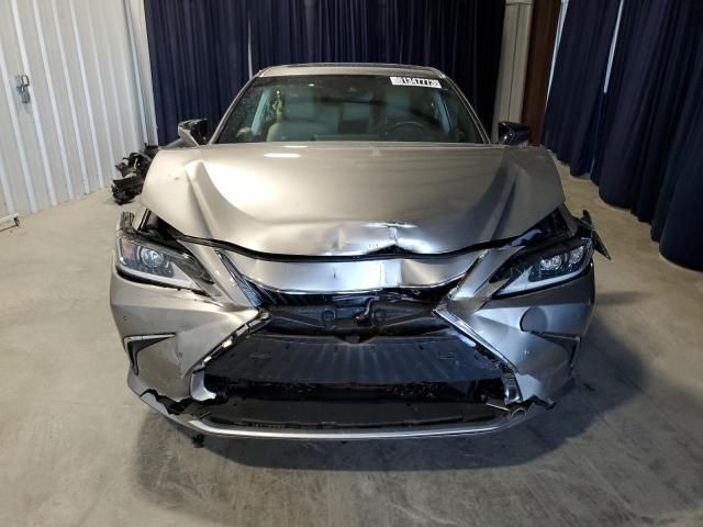 2019 Lexus ES 350