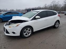 2014 Ford Focus SE for sale in Ellwood City, PA