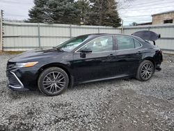 Salvage cars for sale from Copart Albany, NY: 2023 Toyota Camry XLE