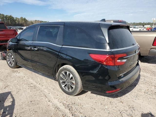 2022 Honda Odyssey EXL