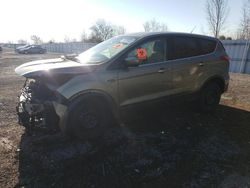 Salvage cars for sale from Copart London, ON: 2013 Ford Escape SE