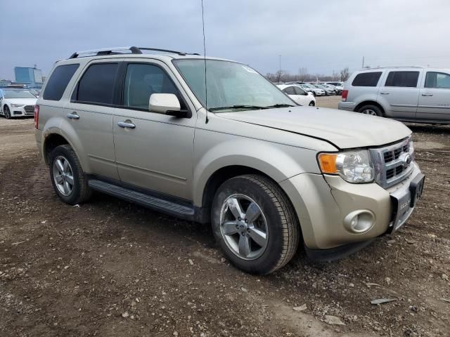 2012 Ford Escape Limited