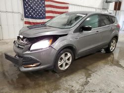 Vehiculos salvage en venta de Copart Avon, MN: 2014 Ford Escape SE