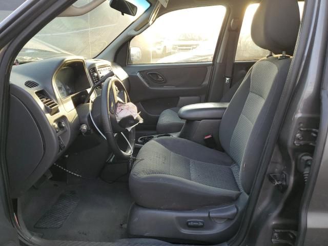 2004 Ford Escape XLT