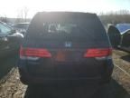 2009 Honda Odyssey EXL