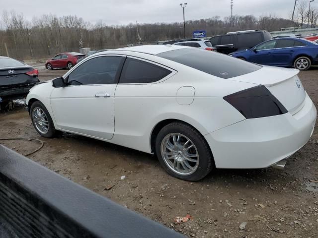 2010 Honda Accord EXL