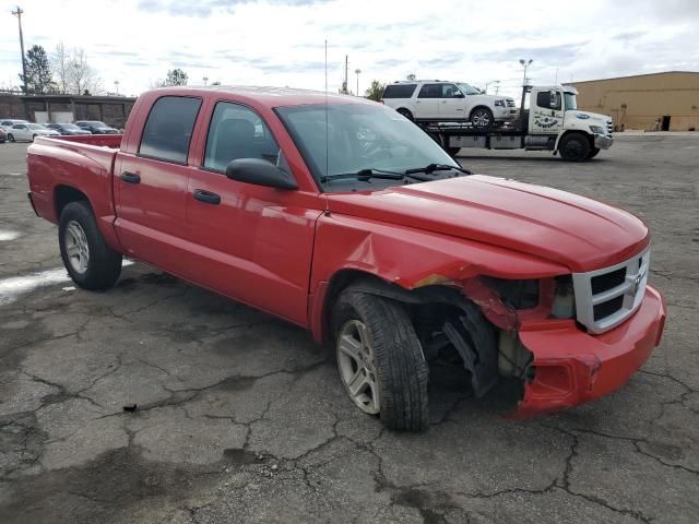 2011 Dodge Dakota SLT