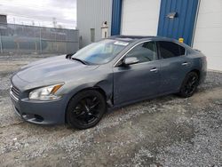 Salvage cars for sale at Elmsdale, NS auction: 2011 Nissan Maxima S