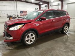 Salvage cars for sale from Copart Avon, MN: 2016 Ford Escape SE