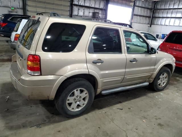 2007 Ford Escape XLT