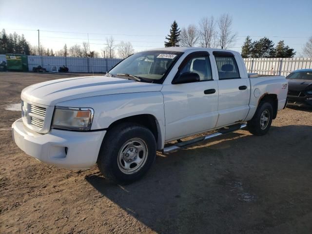 2008 Dodge Dakota Quattro