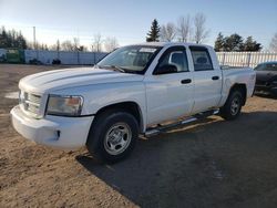 Salvage cars for sale from Copart Bowmanville, ON: 2008 Dodge Dakota Quattro