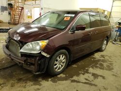 Honda salvage cars for sale: 2008 Honda Odyssey EXL