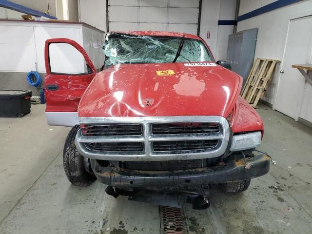 2004 Dodge Dakota Quad SLT