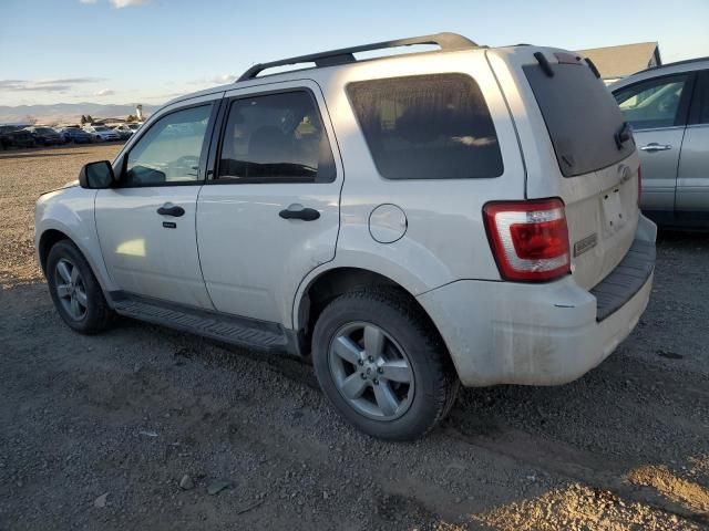 2009 Ford Escape XLT