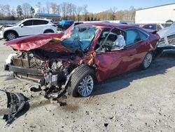 Toyota Camry LE salvage cars for sale: 2016 Toyota Camry LE