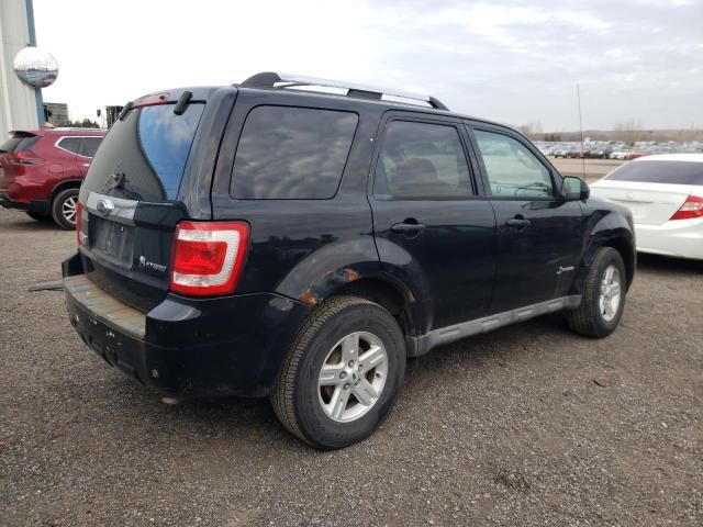 2009 Ford Escape Hybrid